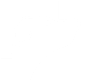 Dogs Without Borders Logo